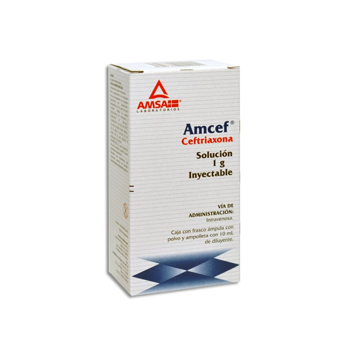 Amcef 1 gr solución inyectable intravenosa frasco ámpula con polvo y 10 mL de diluyente (Ceftriaxona)